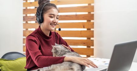Asian young beautiful oversea student girl working and studying online internet education class from home due to coronavirus pandemic. Pretty girl feel happy, playing with her pet, cat in living room.